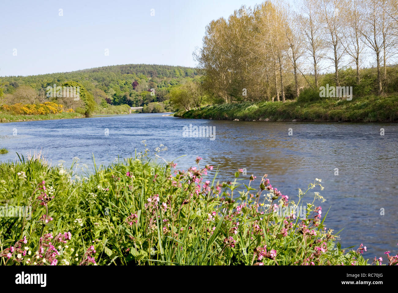 The River Dee in Aberdeenshire, UK Stock Photo Alamy