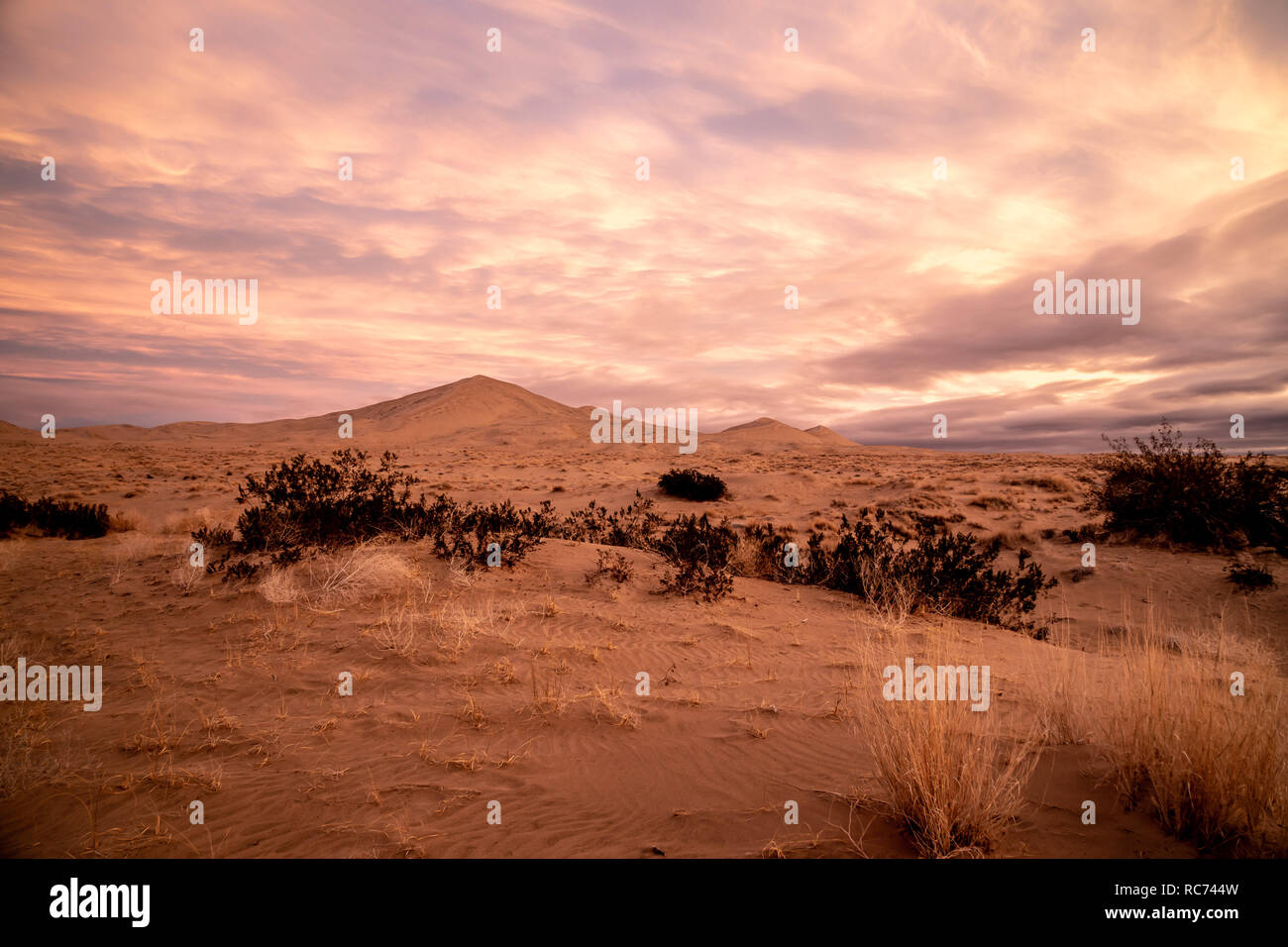 Red glowing sky reflected on the sand dunes, Kelso Sand Dune, Mojave National Preserve, California Stock Photo