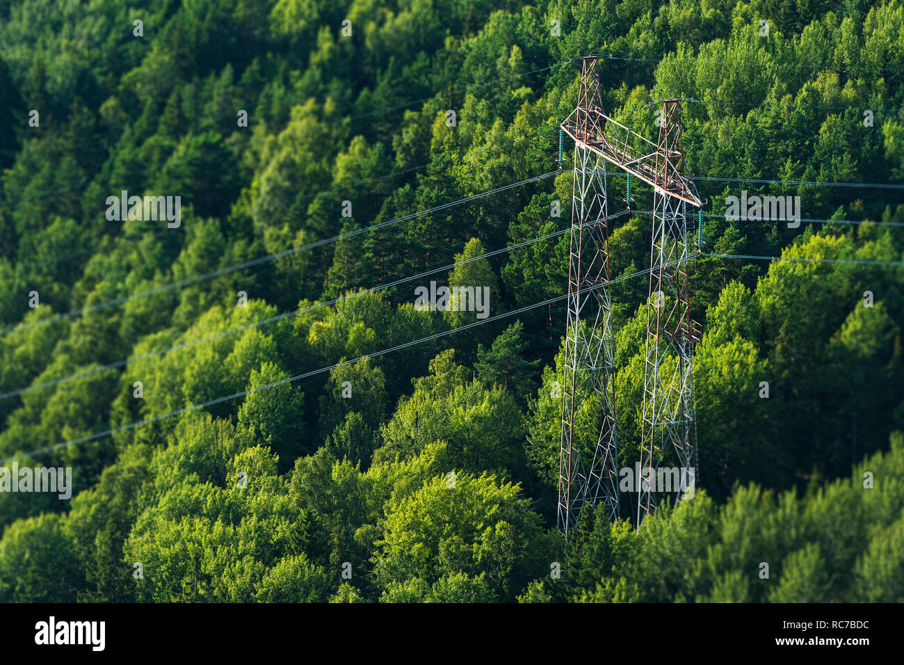 Tree Pylon Aerial view of electricity pylon in forest Stock Photo - Alamy