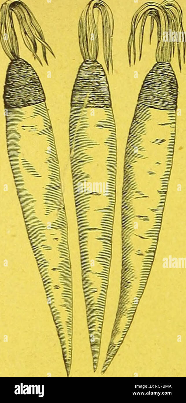 alamy
