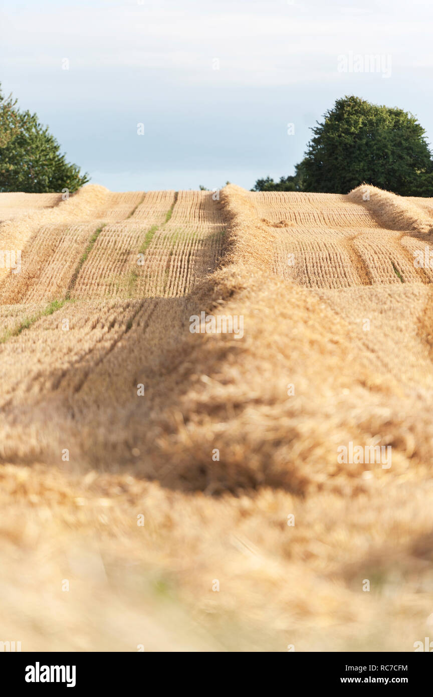 Rural landscape and cloudy sky Stock Photo - Alamy