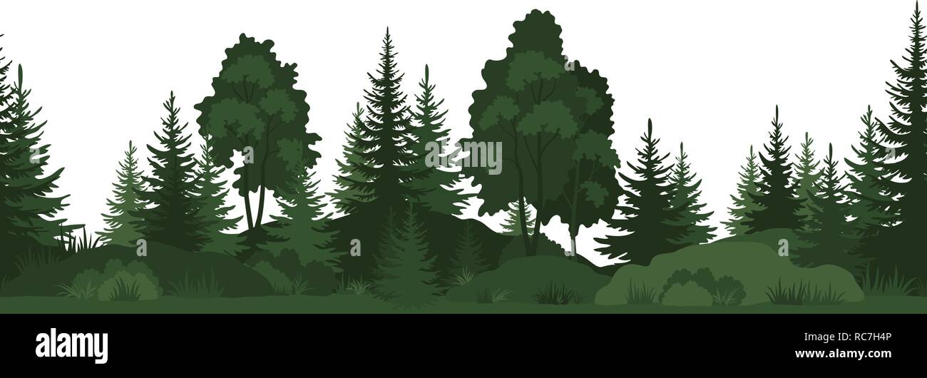 Seamless, Summer Forest Stock Vector