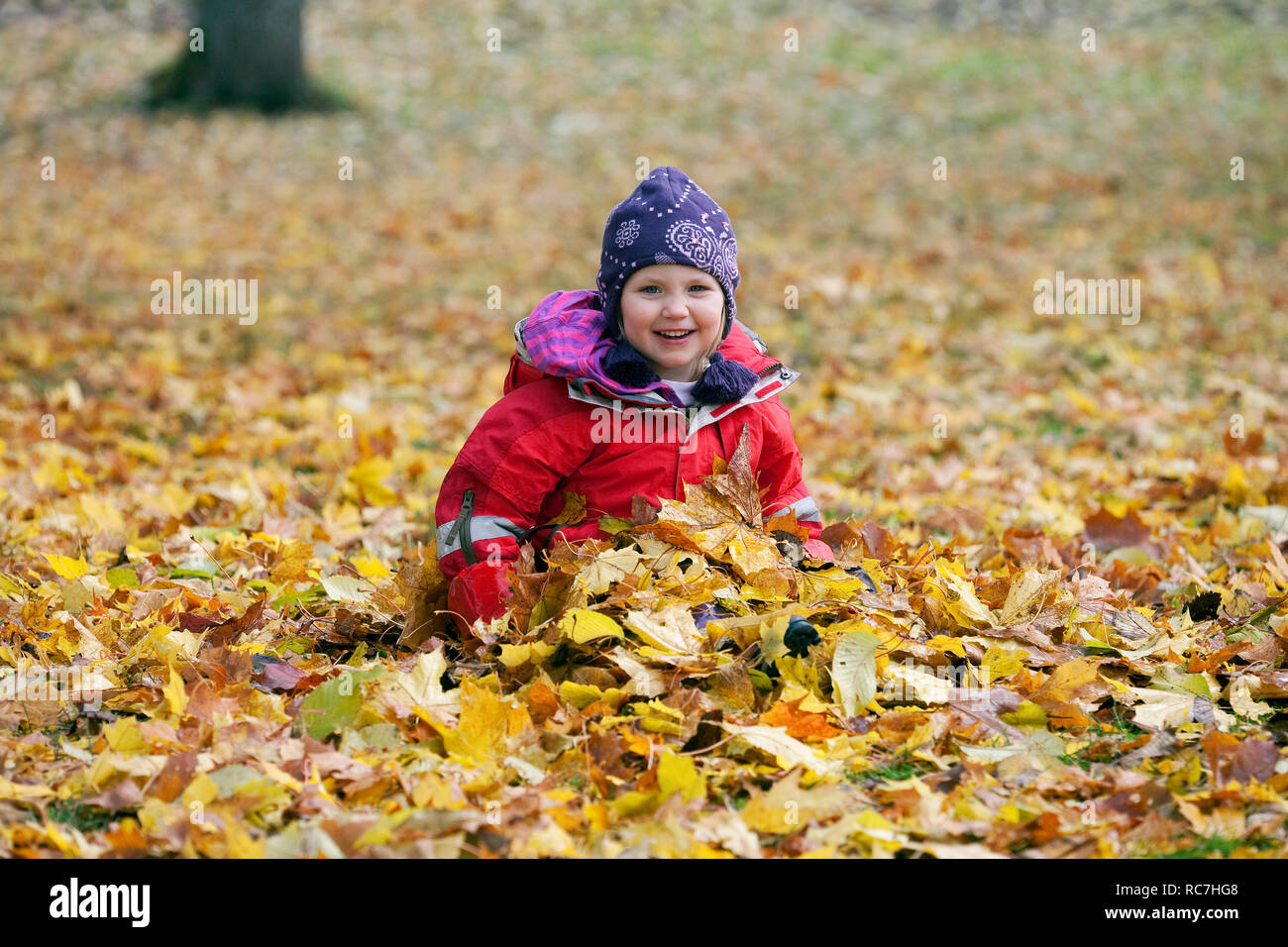 Portrait of girl playing with autumn leaves in park Stock Photo - Alamy