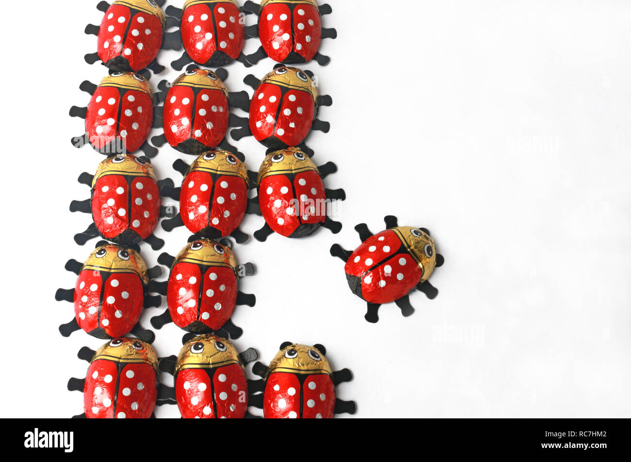breaking new grounds, ladybug leaves its community and chooses a new path Stock Photo
