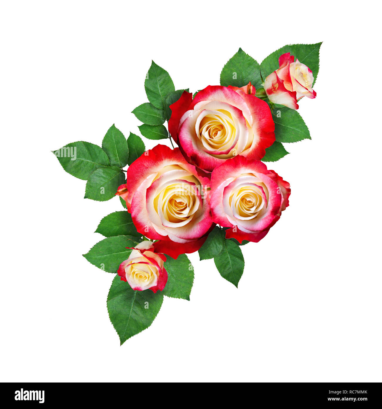 Colorful roses with leaves in a corner arrangement isolated on white ...