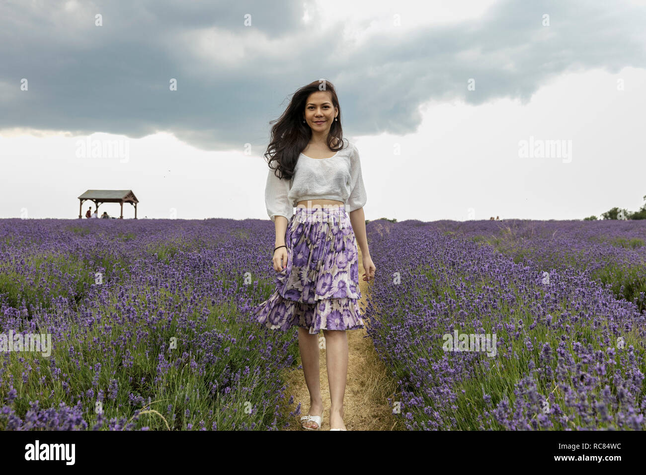 Mid adult woman with long brown hair strolling through lavender field, portrait Stock Photo