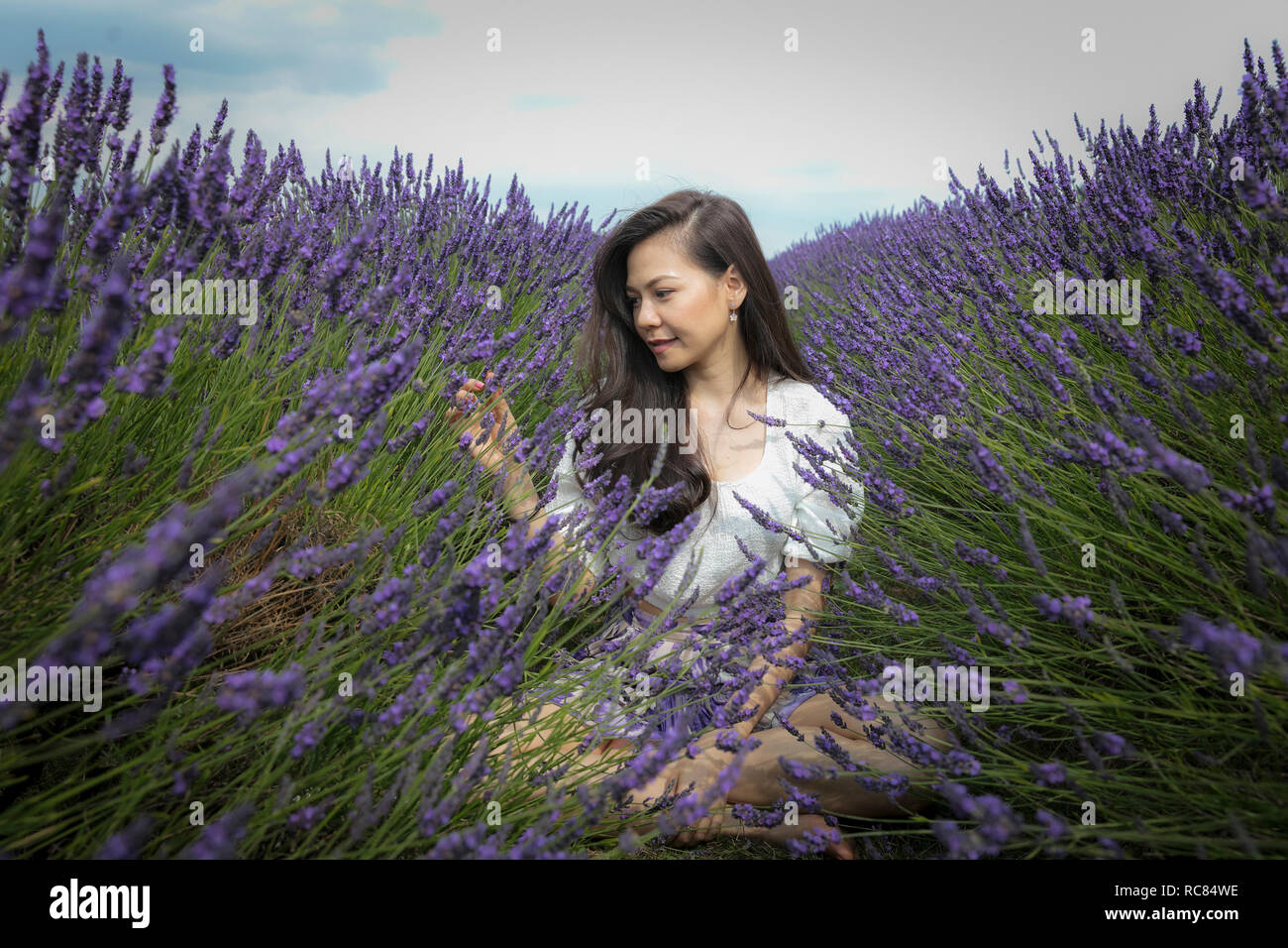 Mid adult woman with long brown hair sitting crosslegged in lavender field Stock Photo