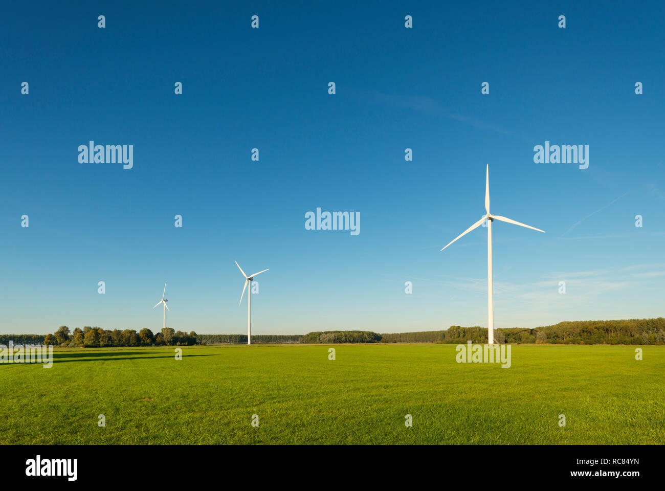 Row of wind turbines on nature reserve, Netherlands Stock Photo