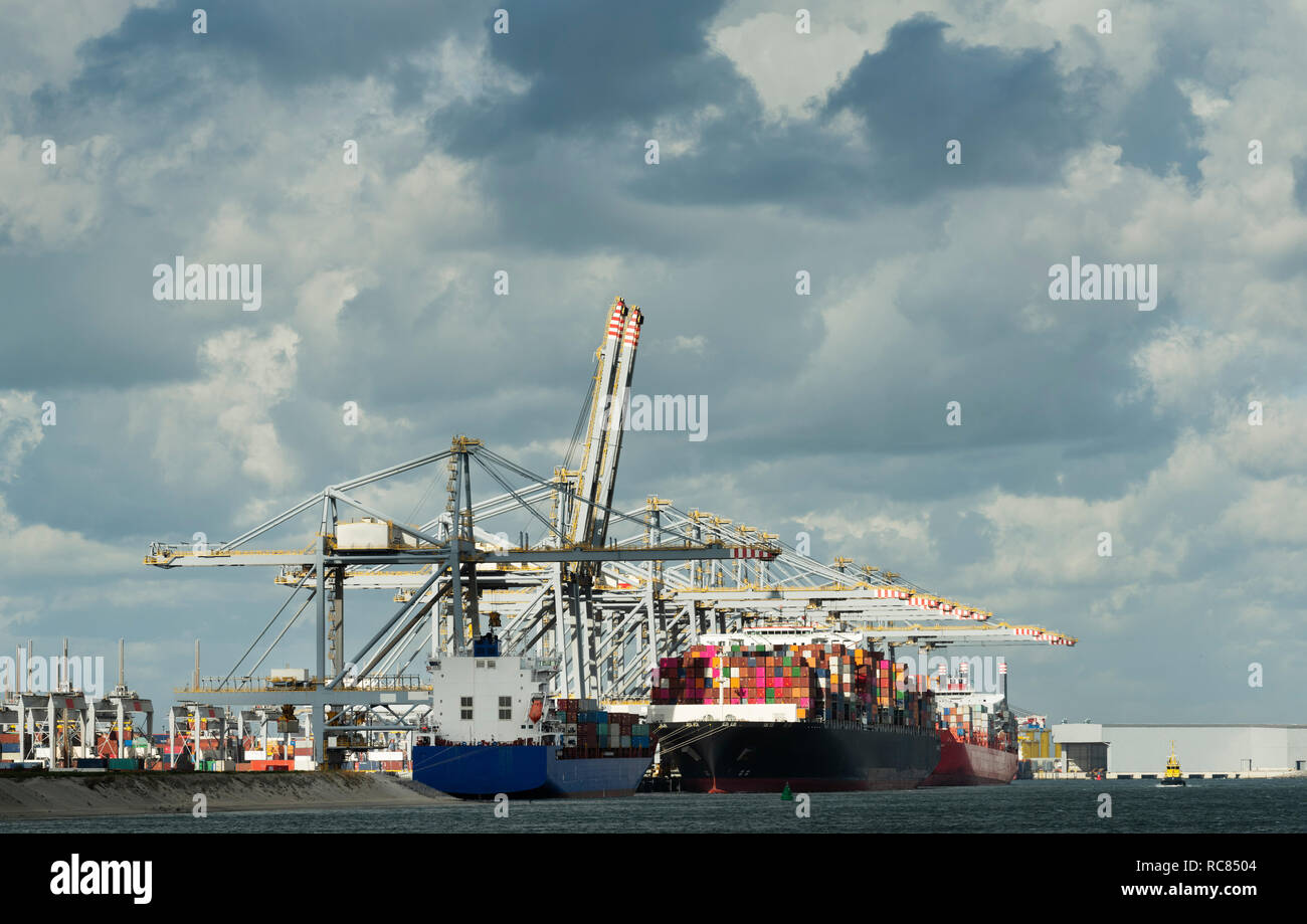 Container terminal situated on the newest part of Rotterdam harbour, Netherlands Stock Photo
