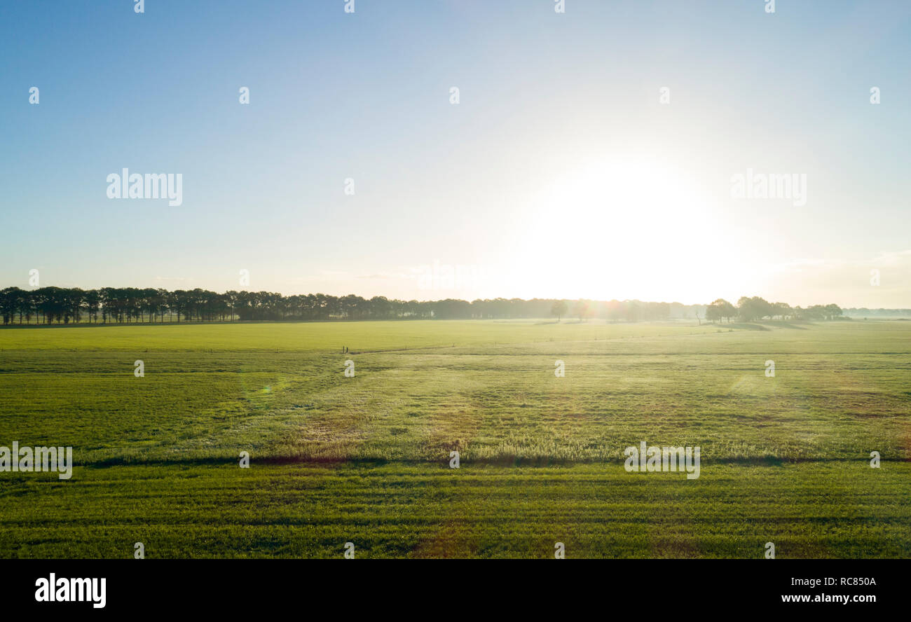 Field landscape at sunrise, elevated view Stock Photo