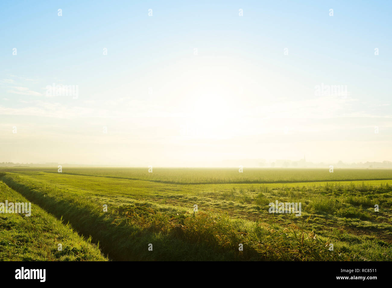 Flat green field landscape with ditch at sunrise, Netherlands Stock Photo