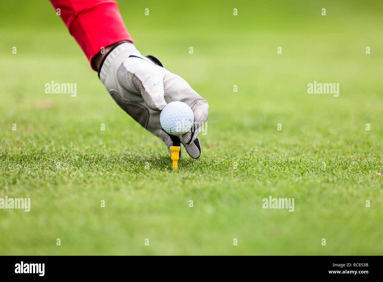 Hand putting golf ball on tee Stock Photo Alamy