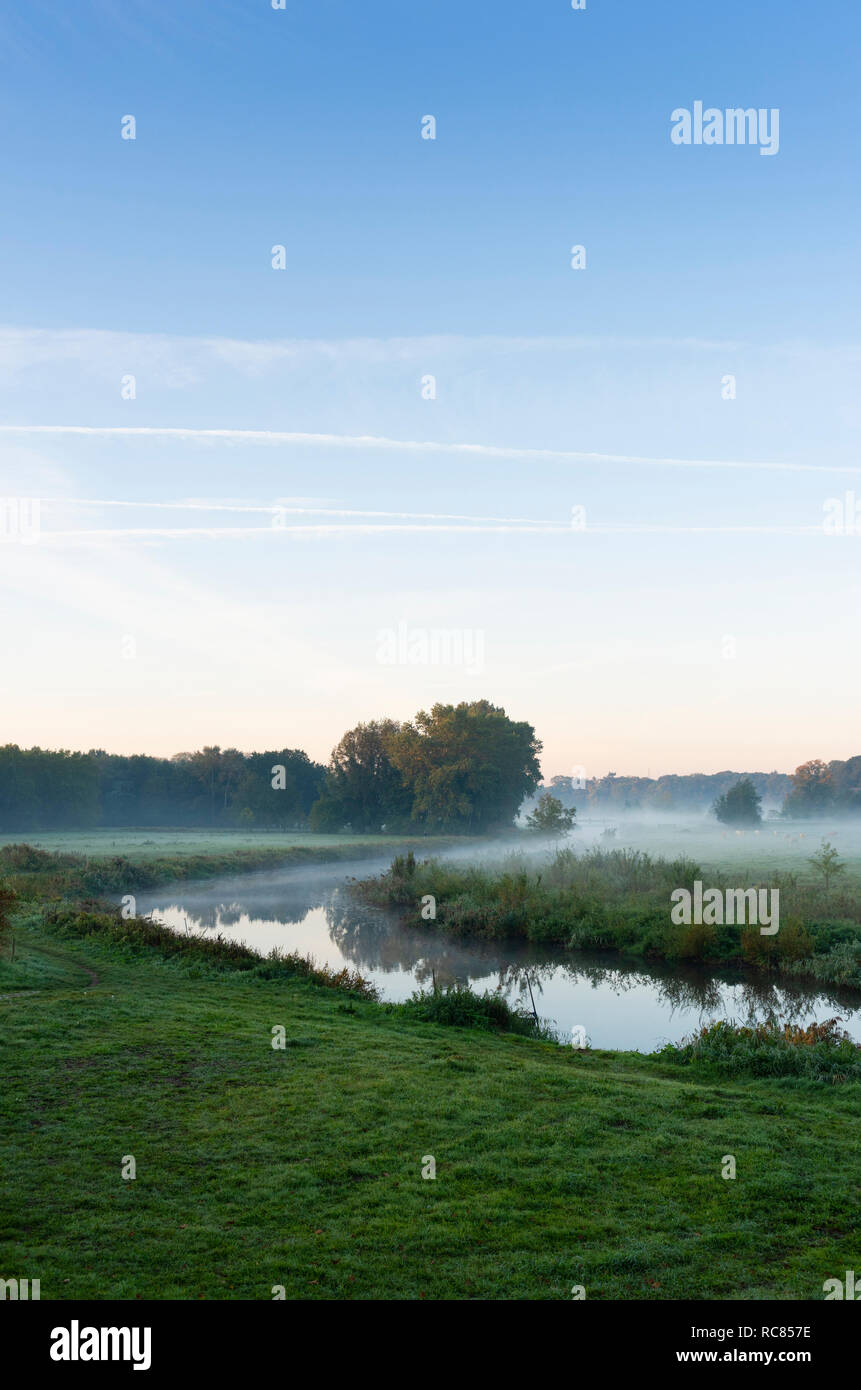 River Mark in early morning mist, Netherlands Stock Photo