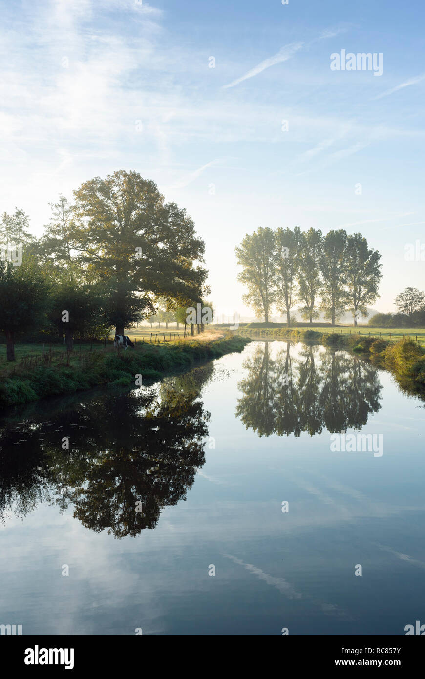 River Mark in early morning sunlight, Netherlands Stock Photo