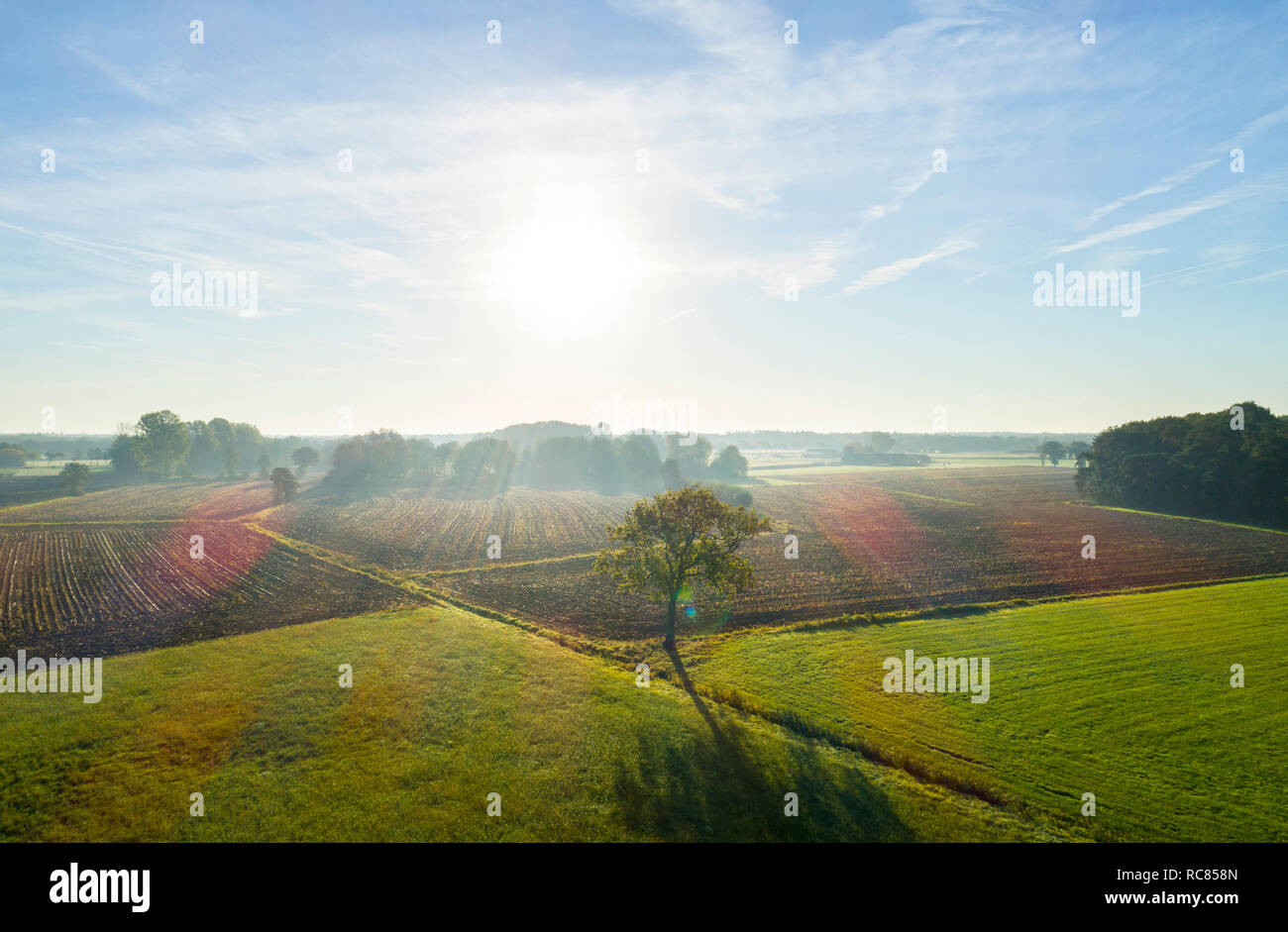 Field landscape in autumn sunlight, elevated view, Netherlands Stock Photo