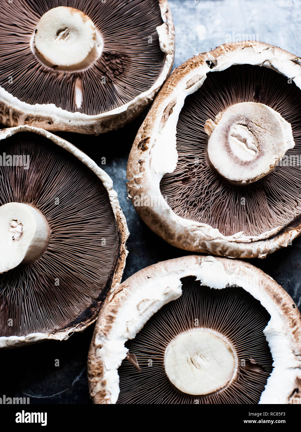 Upside down portabello mushrooms, still life, overhead view Stock Photo