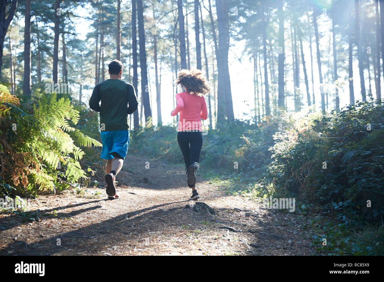 Female and male runners running in sunlit forest, rear view Stock Photo