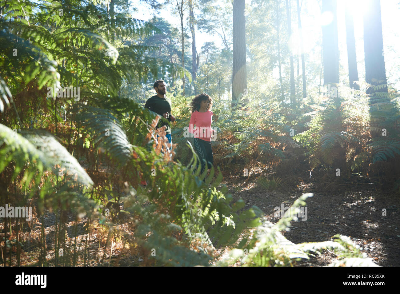 Female and male runners running together through sunlit forest ferns Stock Photo