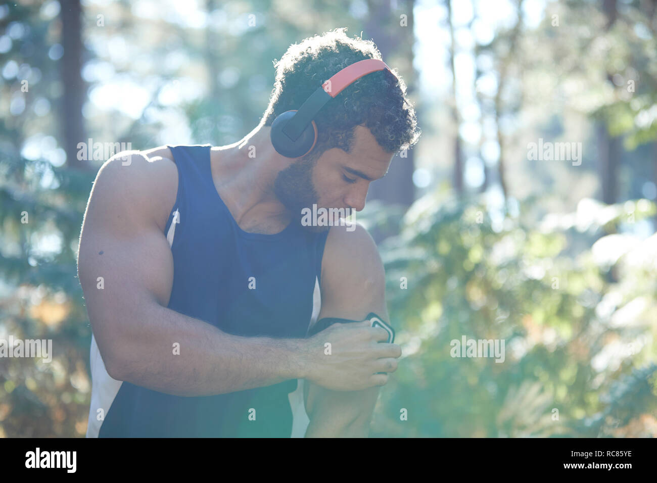 Male runner using smartphone armband in sunlit forest Stock Photo