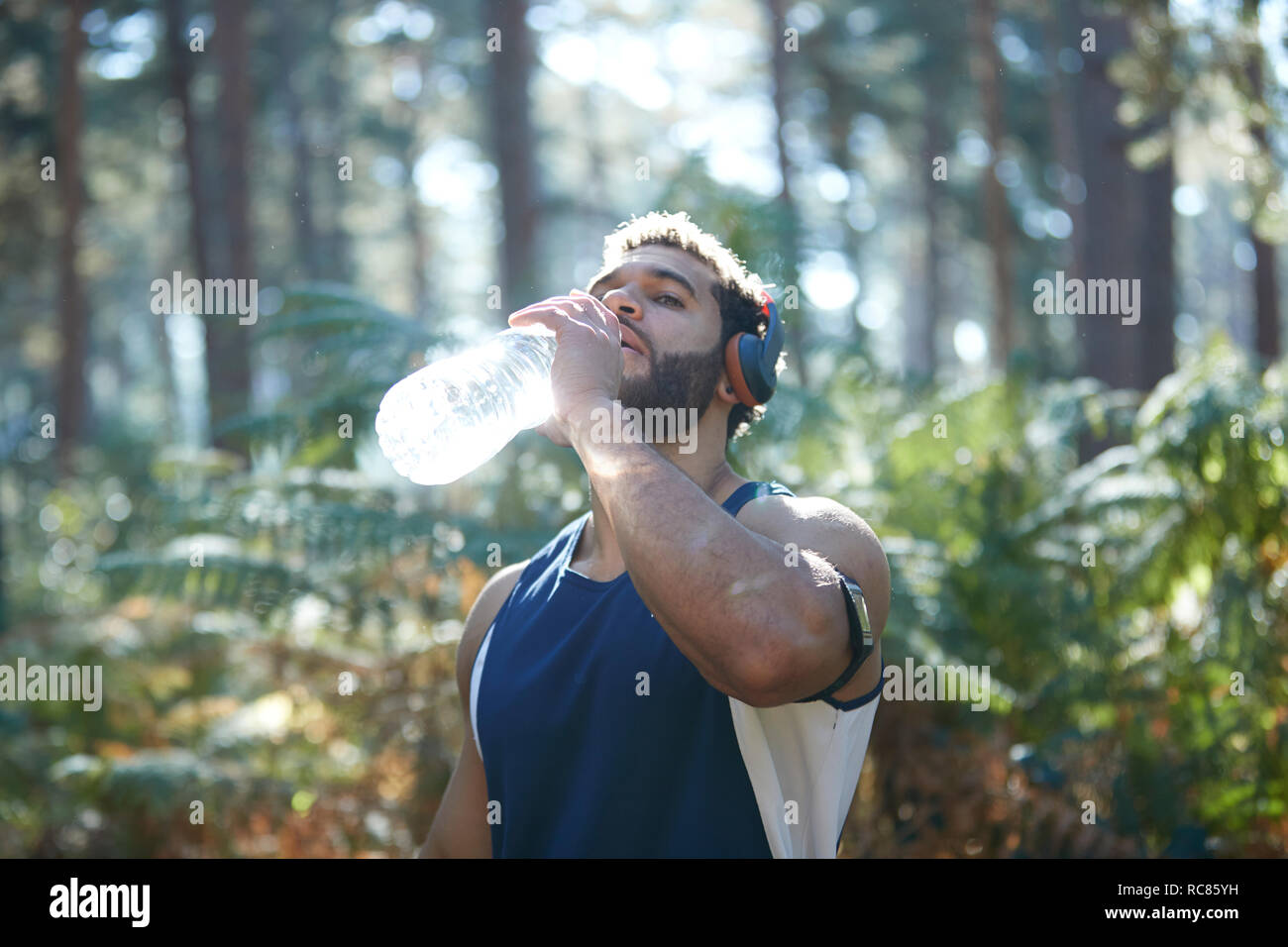Male runner drinking bottled water in sunlit forest Stock Photo