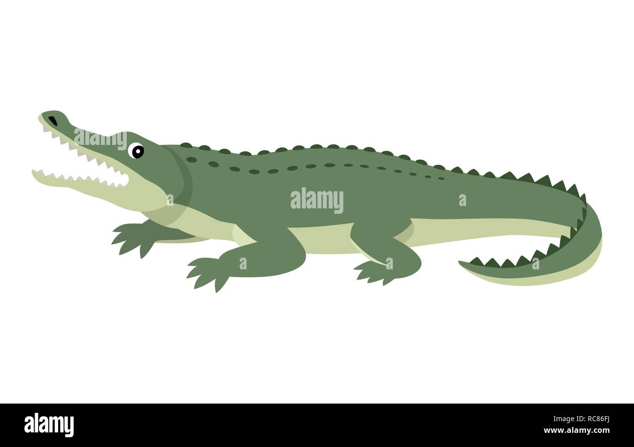 Friendly cute green alligator, funny wild animal Stock Vector