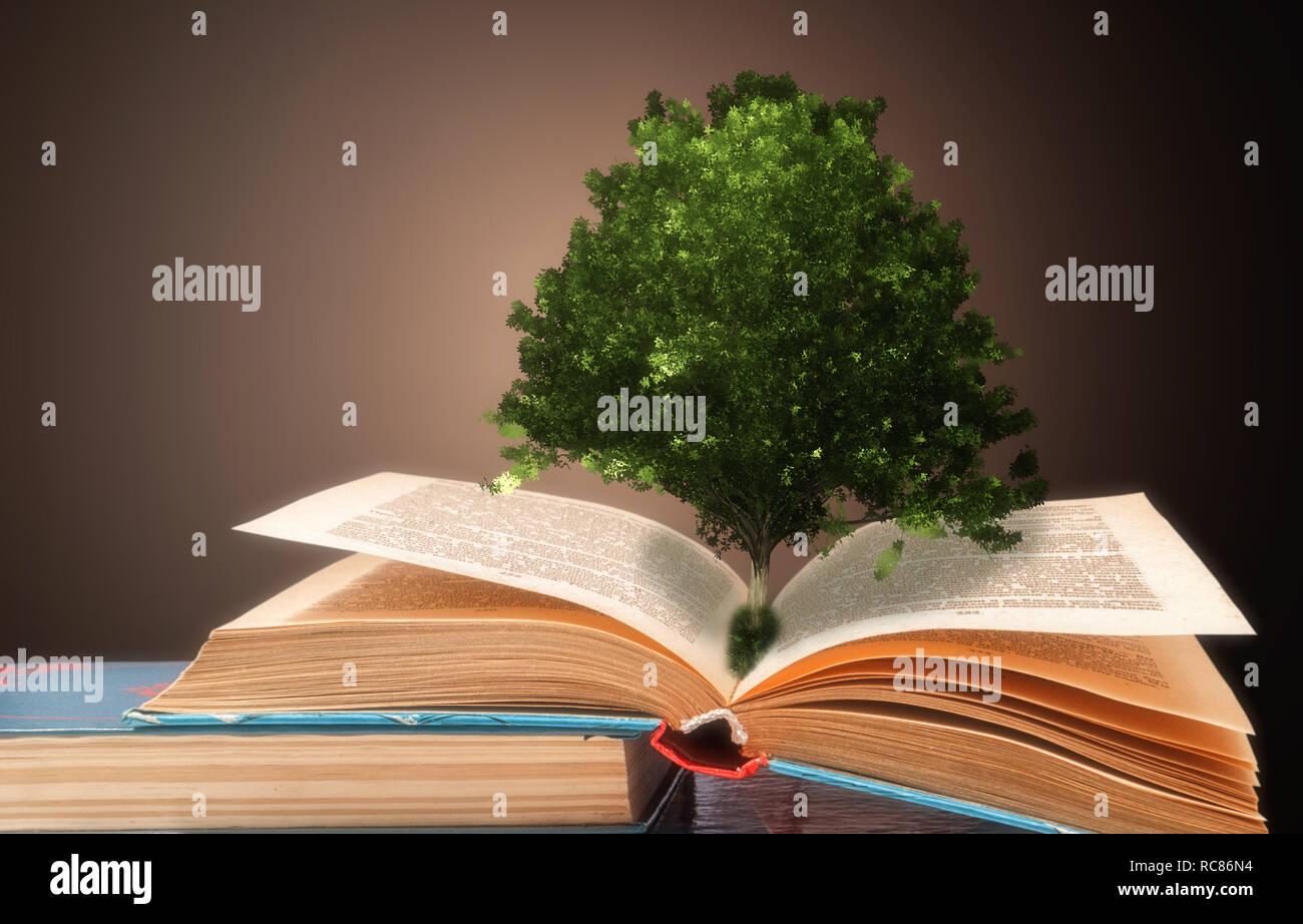 The concept of a book or a tree of knowledge with an oak tree growing from an open book Stock Photo
