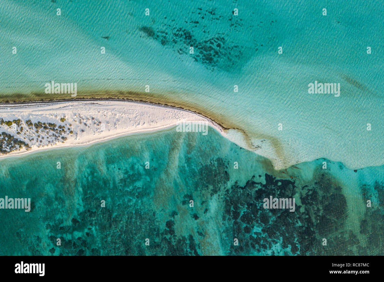 Reef life and cay, Alacranes, Campeche, Mexico Stock Photo