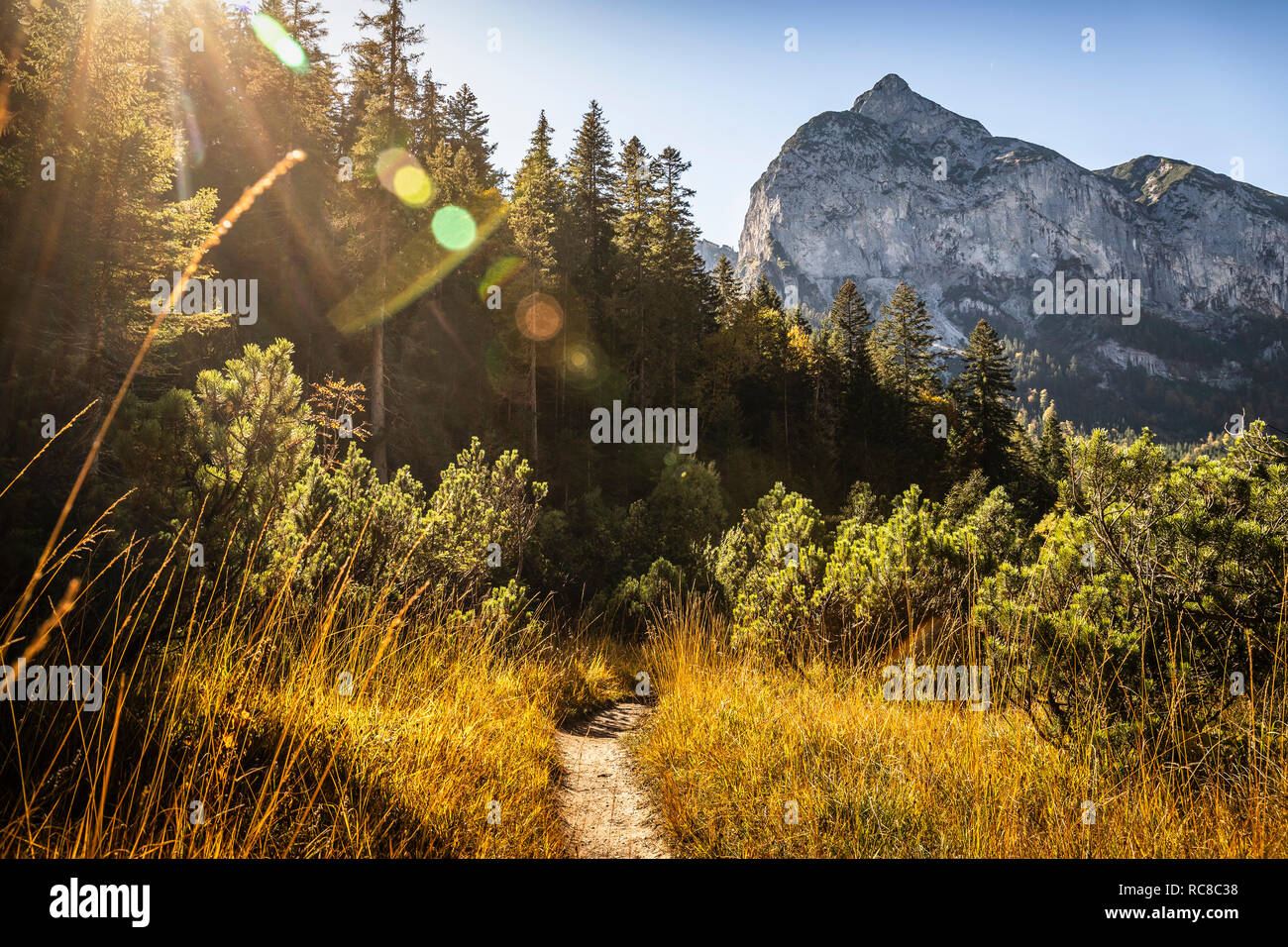 Hiking trail, Karwendel region, Hinterriss, Tirol, Austria Stock Photo