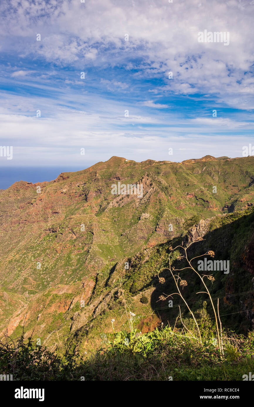 View into the ravine,  Barranco del Tomadero  in the Anaga region of Tenerife, Canary Islands, Spain Stock Photo
