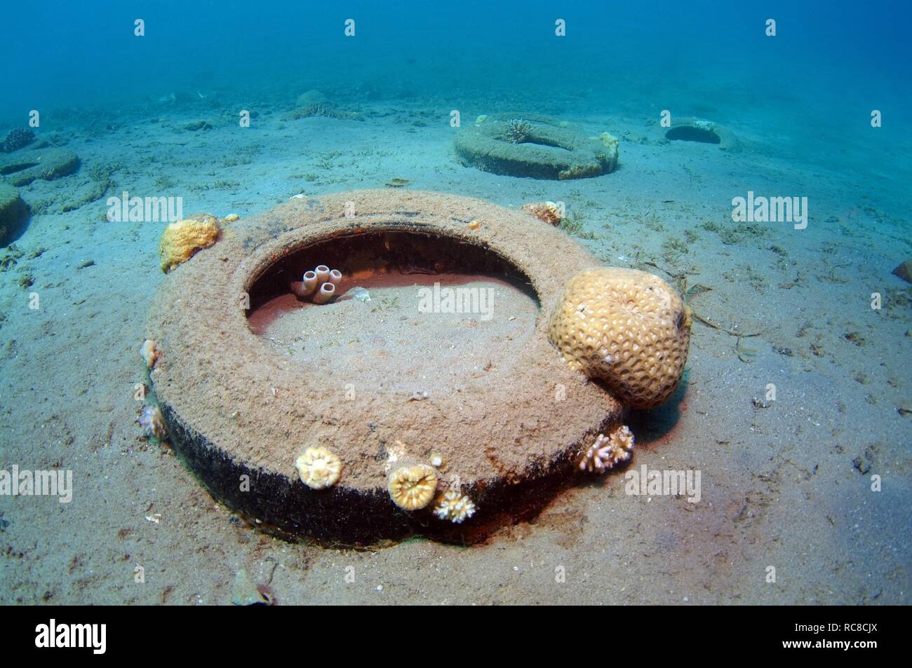 Automobile tire cover on sandy sea bottom, Red Sea, Egypt, Africa Stock Photo