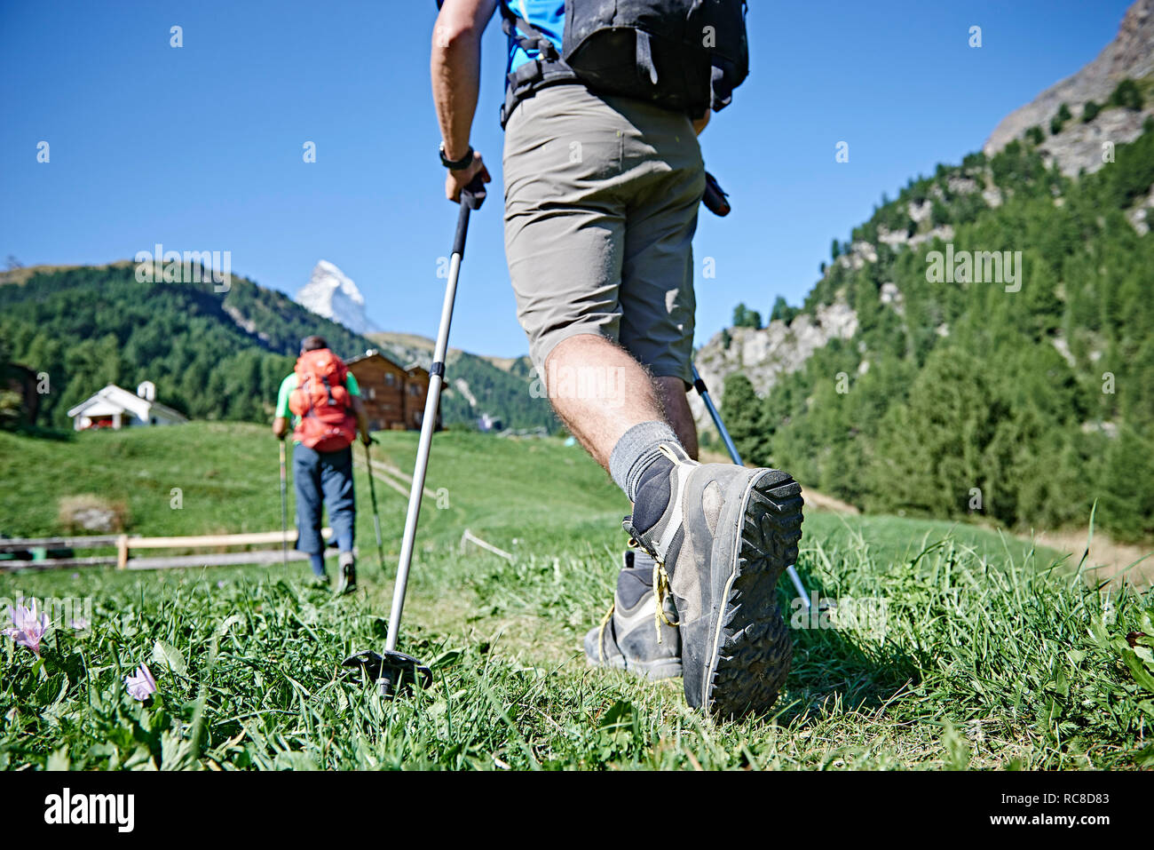 Hikers on lush green field, chalets in background, Mont Cervin, Matterhorn, Valais, Switzerland Stock Photo