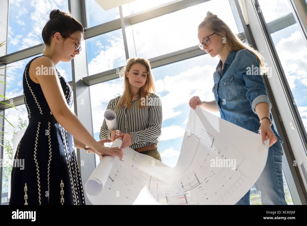 Colleagues rolling up charts after brainstorming Stock Photo