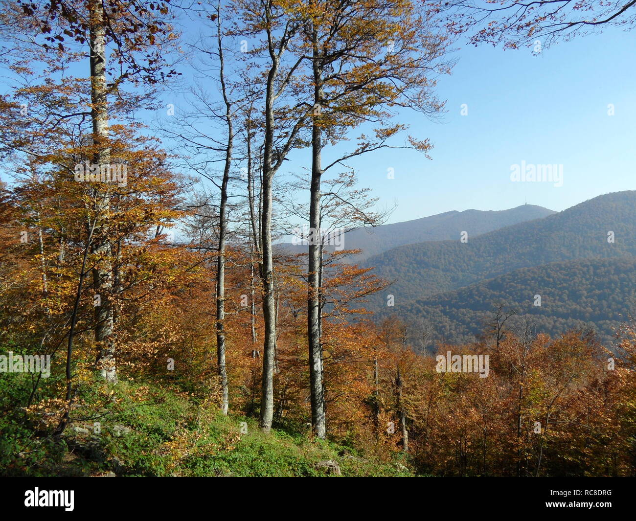 Mountain in autumn Stock Photo - Alamy