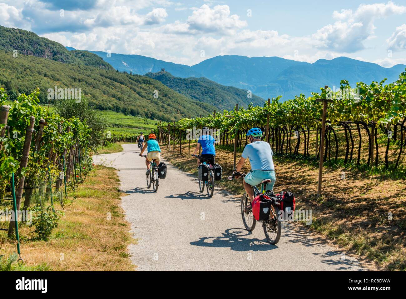Three cyclists with mountain bike, on the Via Claudia Augusta cycle path,  crossing the Alps, between vineyards, vineyards Stock Photo - Alamy