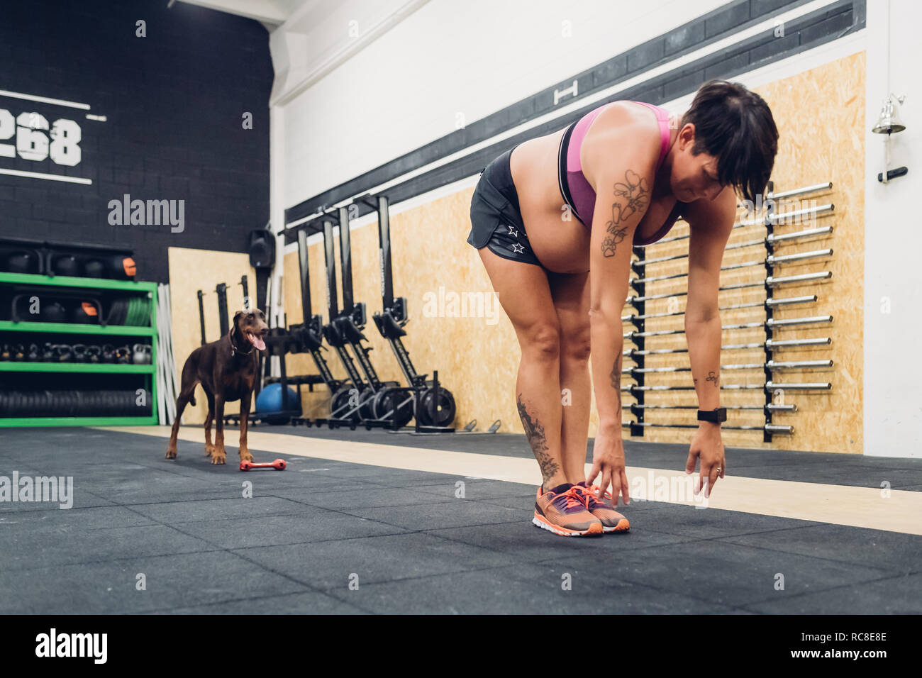 Pregnant woman bending forward in gym Stock Photo