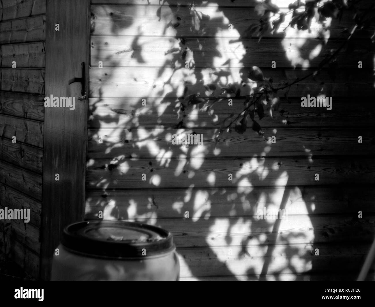 shadow of a tree on the wall of a house in the village, black and white