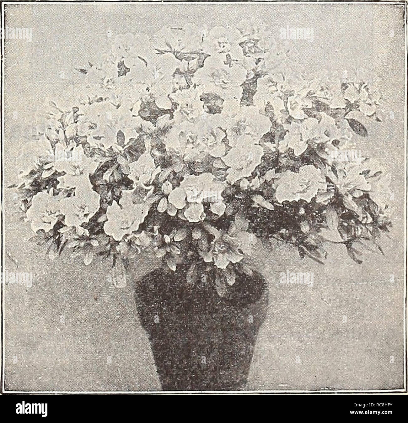 Dreer S Garden Book 1932 Seeds Catalogs Nursery Stock