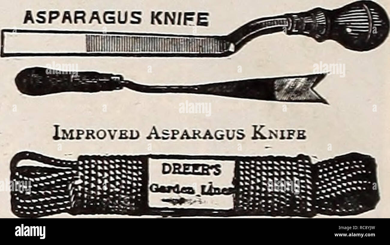 . Dreer's garden book 1917. Seeds Catalogs; Nursery stock Catalogs; Gardening Equipment and supplies Catalogs; Flowers Seeds Catalogs; Vegetables Seeds Catalogs; Fruit Seeds Catalogs. Diamond Glass Cutter. Pruning and Garden Gloves Grass Edging Knife Asparagus Buncher. Acme, $2.00; Philadelphia,. .$2 00 Asparagus Knife. American, 35 cts.; Improved ... 50 Axe. Best quality, heavy, $1.25; medium, $1.15; light, 1 00 Bill Hook. Short handle, $1.25; long handle 2 00 Brooms. (Stable.) Push, rattan or cocoa 85 &quot; &quot; Upright, corn and rattan 50 and 60 Carnation Supports. Wire, 2 ring, doz., 60 Stock Photo