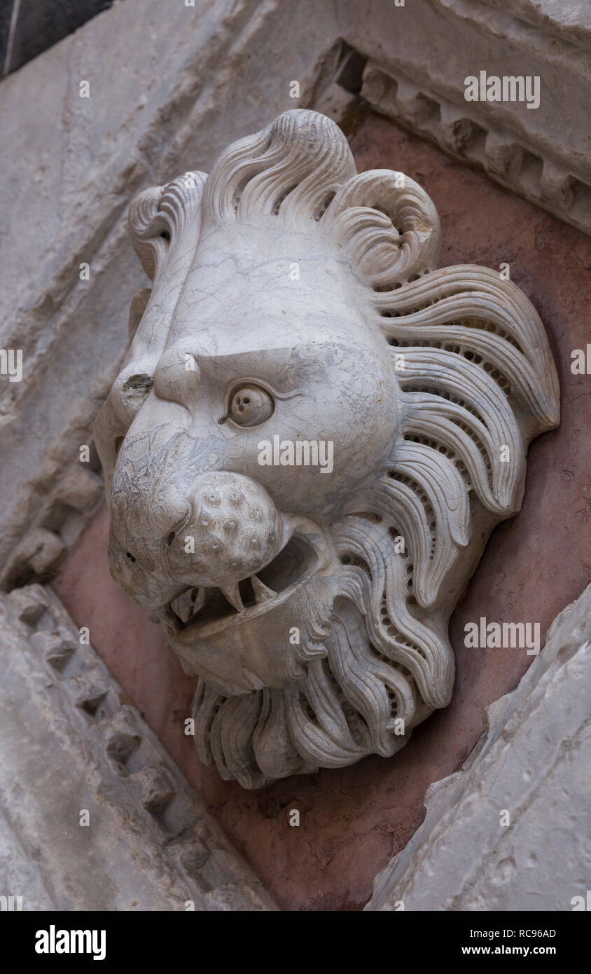 One of the many Lion carvings on the front wall of Siena Baptistry, Tuscany, Italy Stock Photo