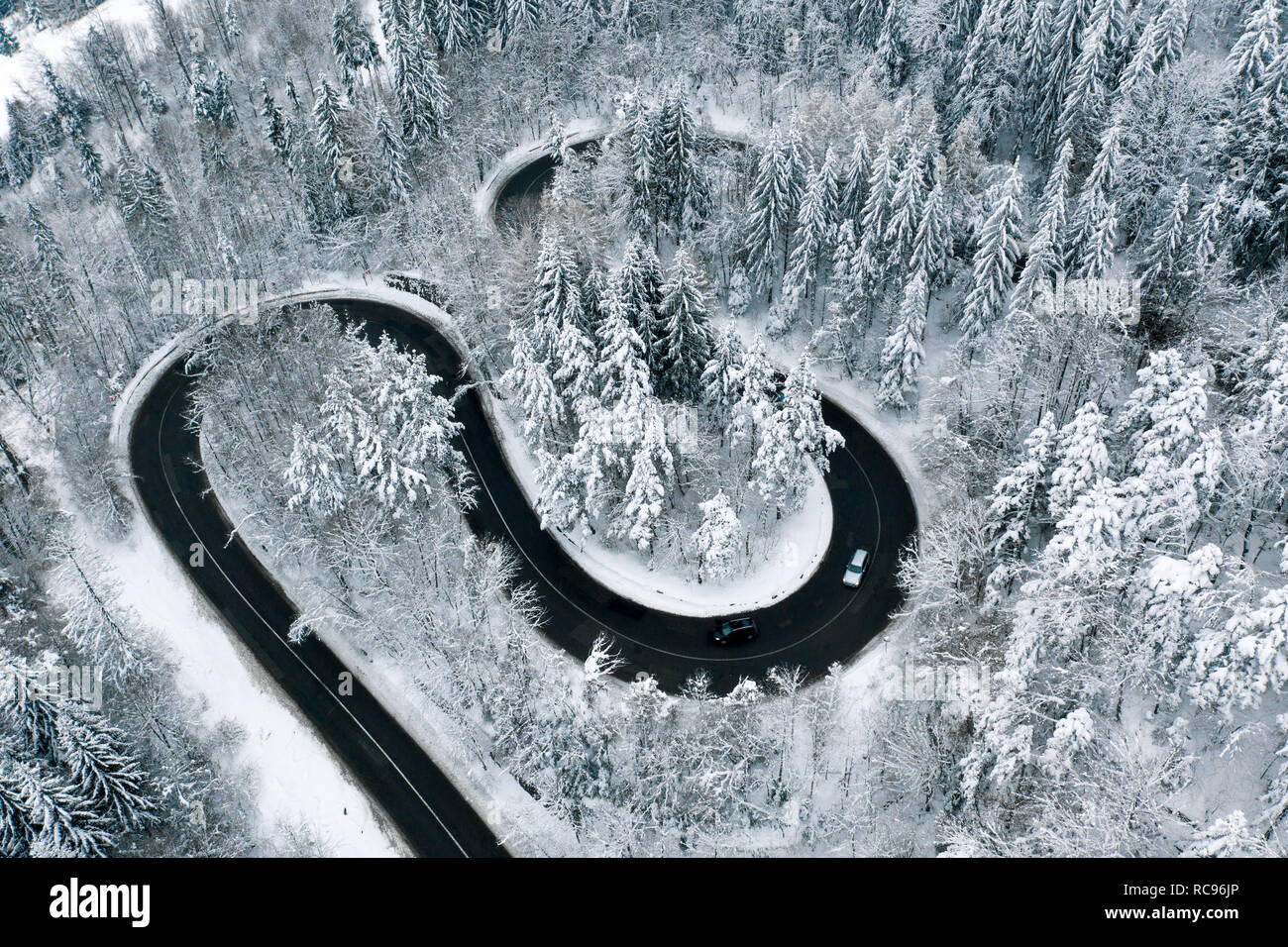 Driving on winter roads trough a forest winding road in the mountains Stock Photo