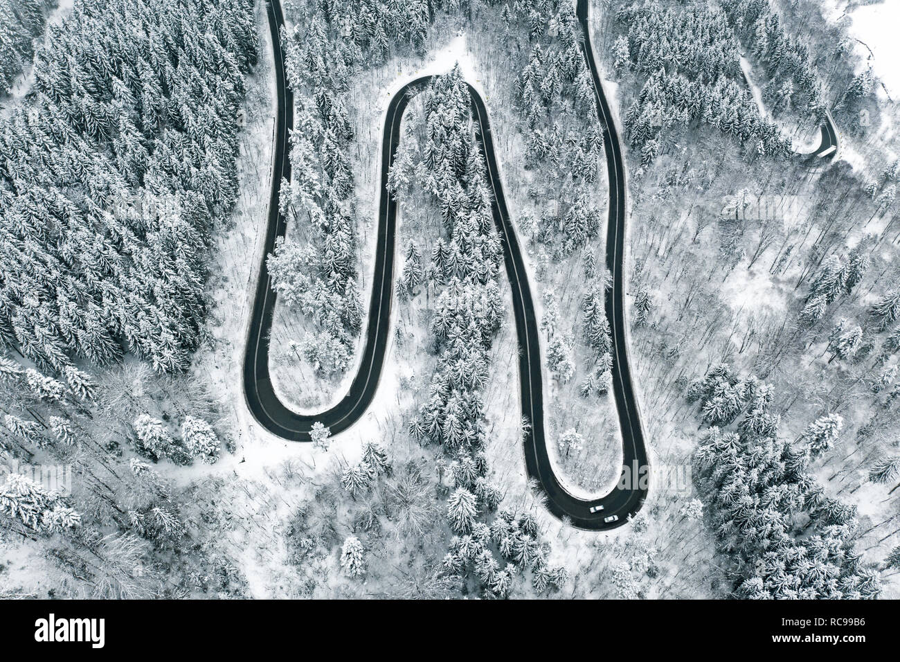 Bending road in the forest in winter time Stock Photo