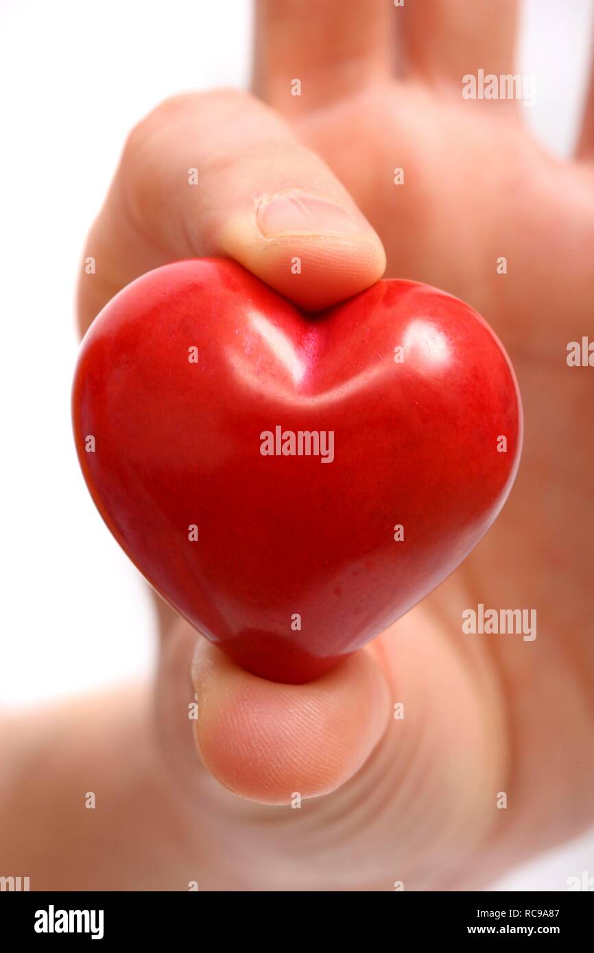 Hand holding a red heart, symbolic image for heart disease, heart attack, a diseased heart, cardiology Stock Photo