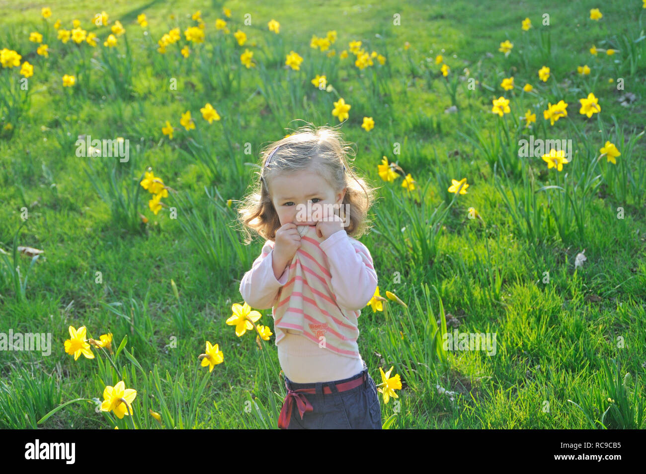 kleines Kind auf einer Wiese, Osterglocken | little child on a meadow, lent lilys Stock Photo