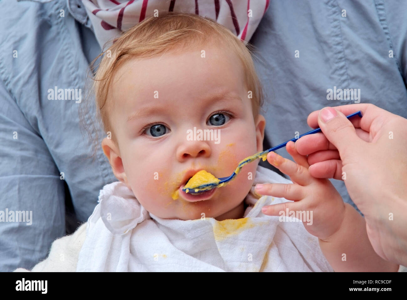 Eltern füttern ihr Baby mit Brei | parents feeding their baby wit pap Stock Photo