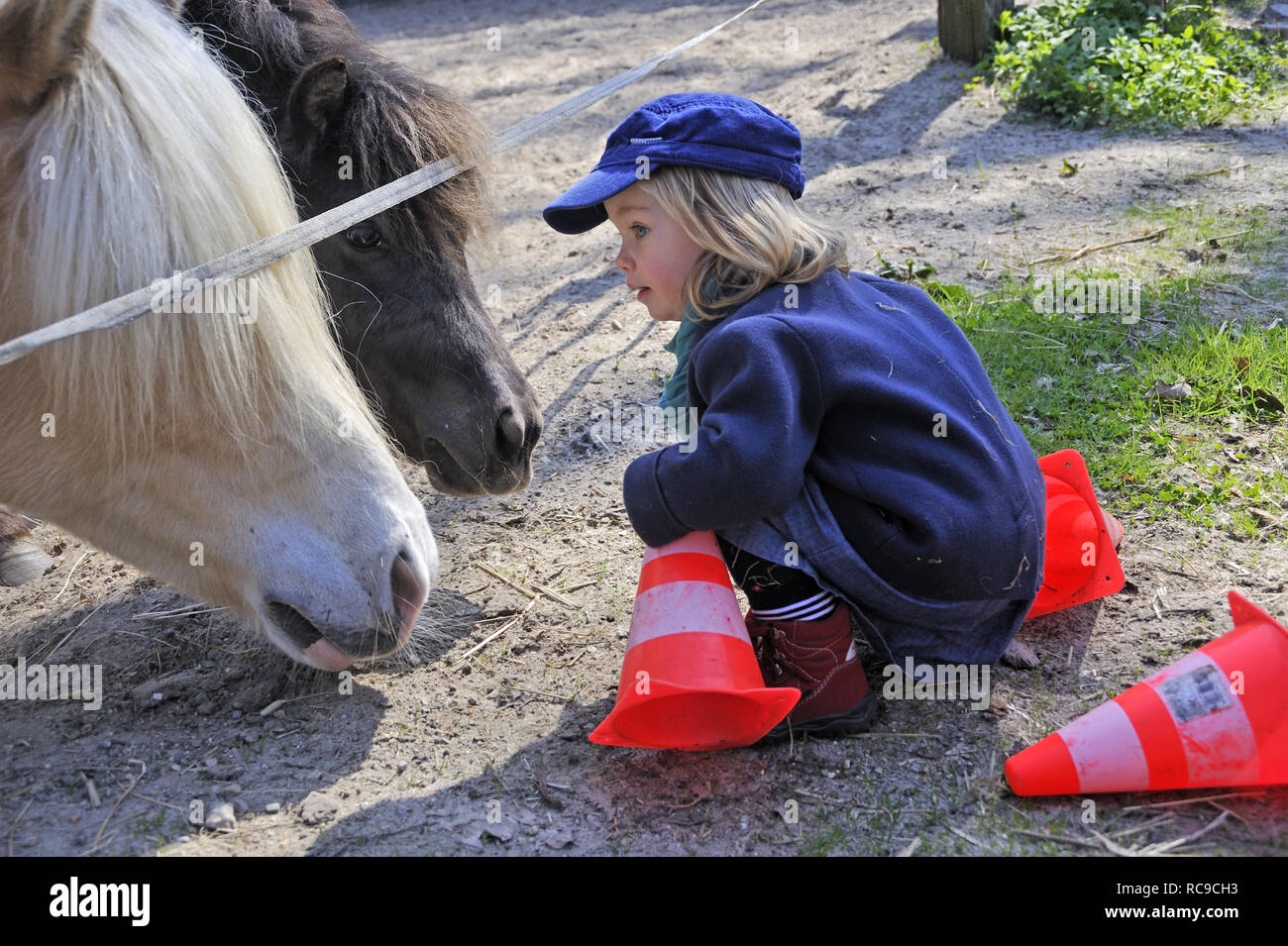 kleiens Mädchen beobachtet Pferde | little girl watches horses Stock Photo