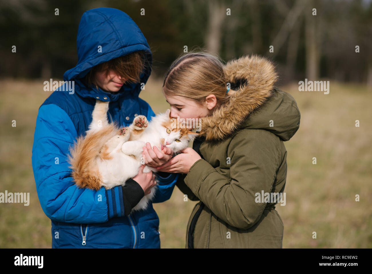 Brother and sister cuddling cat in field Stock Photo