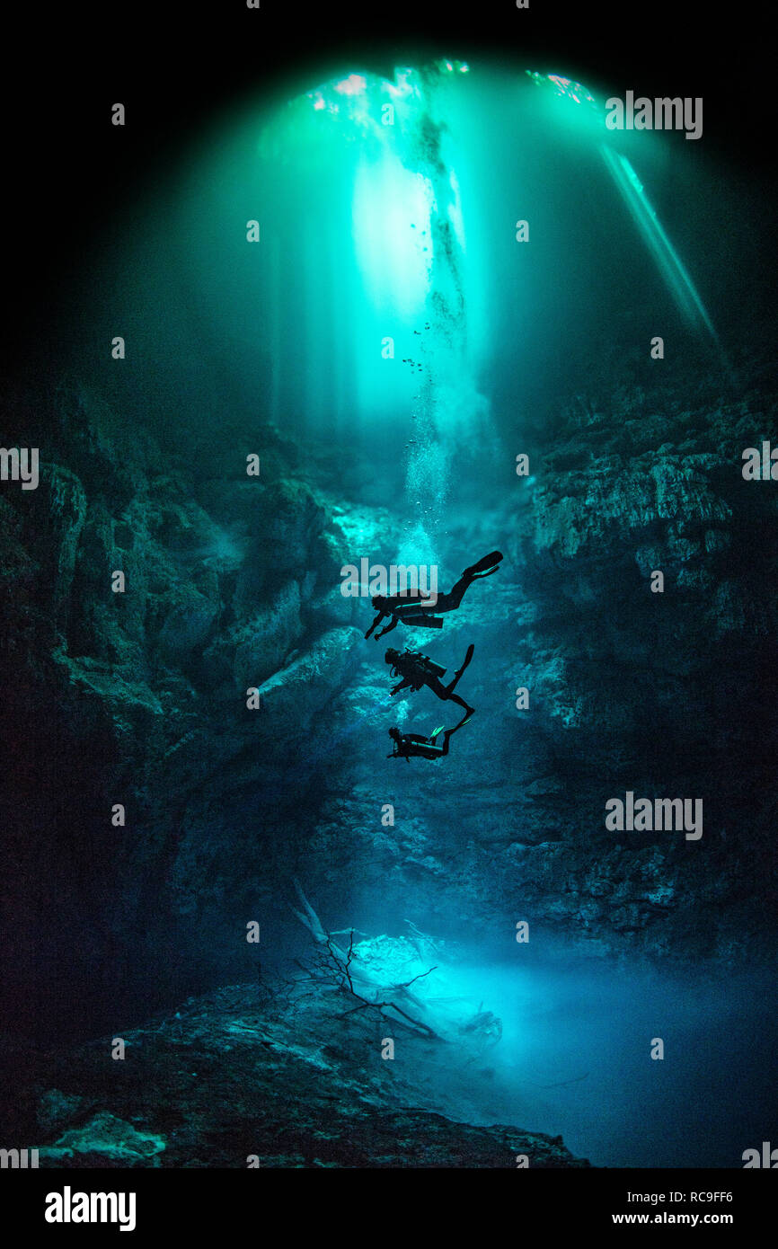 Cenote diving, Pit Cenote, Tulum, Quintana Roo, Mexico Stock Photo - Alamy