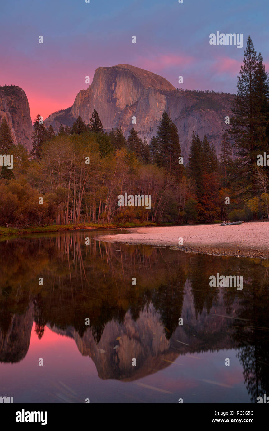 Half Dome rises above the Merced River and the forest in Yosemite National Park at sunset. California, USA. Stock Photo