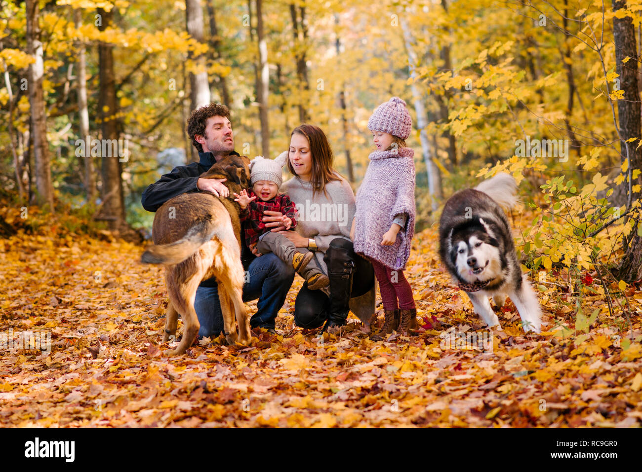 Family of four and dogs in forest Stock Photo