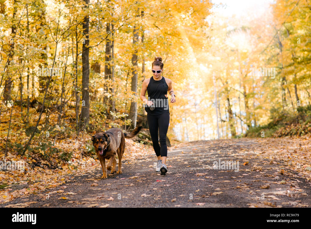 Woman jogging with dog in forest Stock Photo